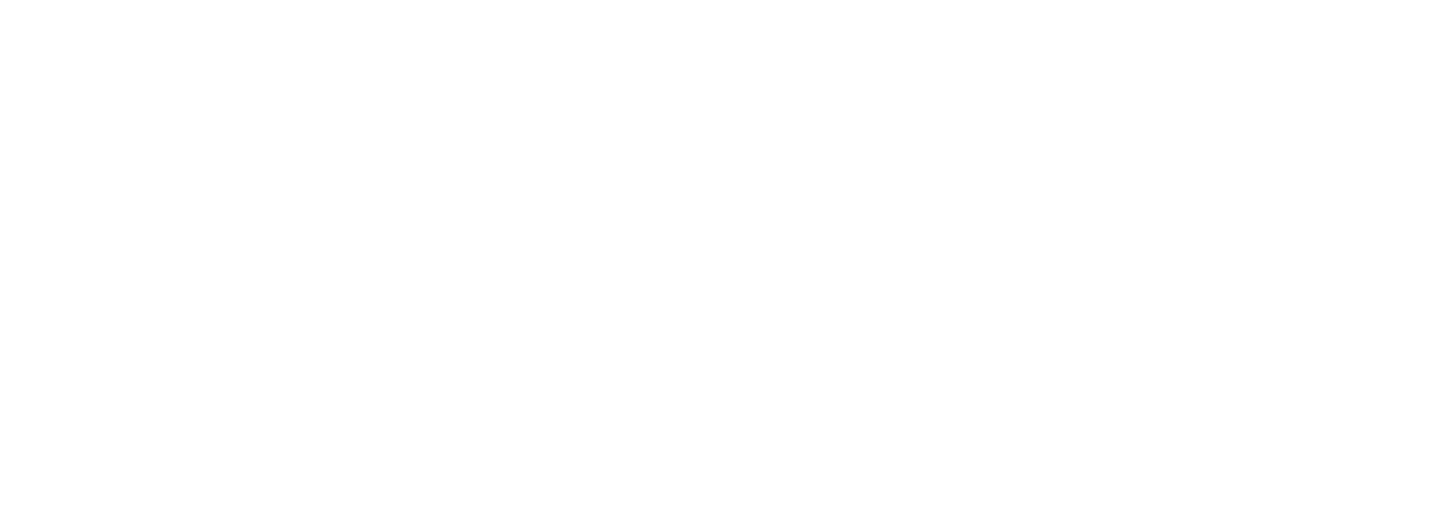 ХНЕУ ім. С. Кузнеця